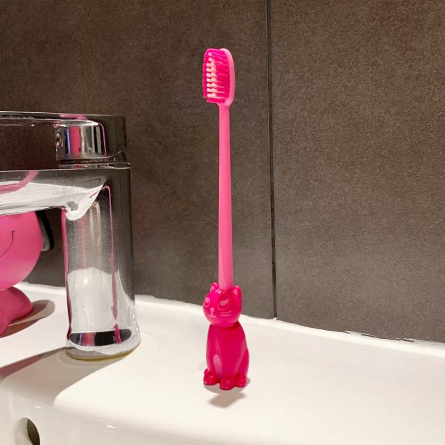 Pylones Brosse à Dents - Cat Smile