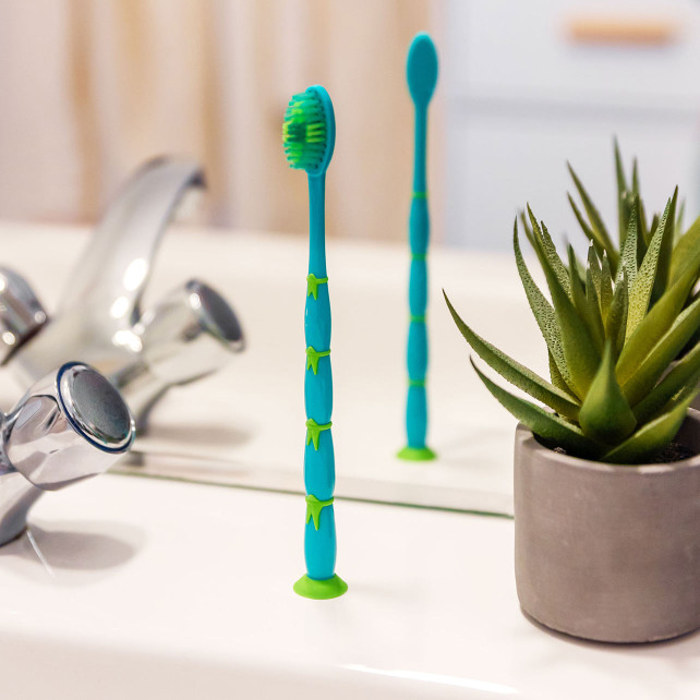 Pylones Brosse à Dents - Pandasmile