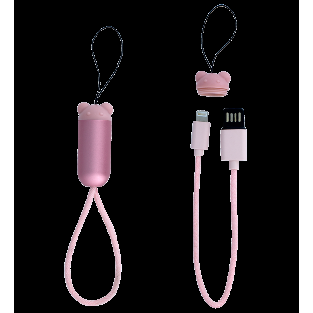 pylones Câble pour iPhone - Mini Connectech