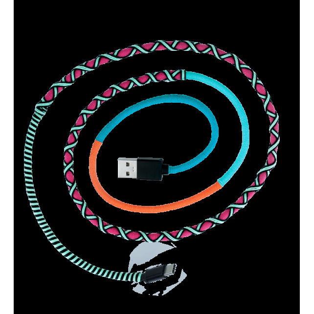 Pylones Câble USB Type C - Salsa