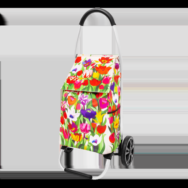 pylones Chariot de courses - Trolly