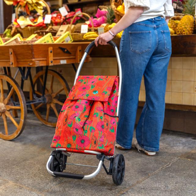 Pylones Chariot De Courses - Trolly