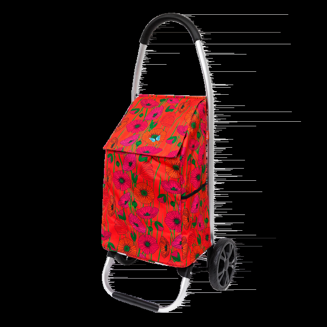 pylones Chariot de courses - Trolly