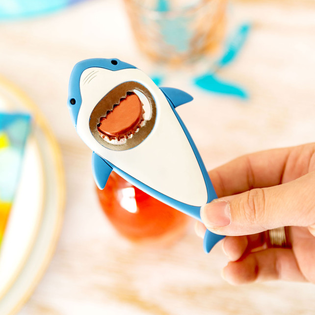 Pylones Décapsuleur - Ani-opener