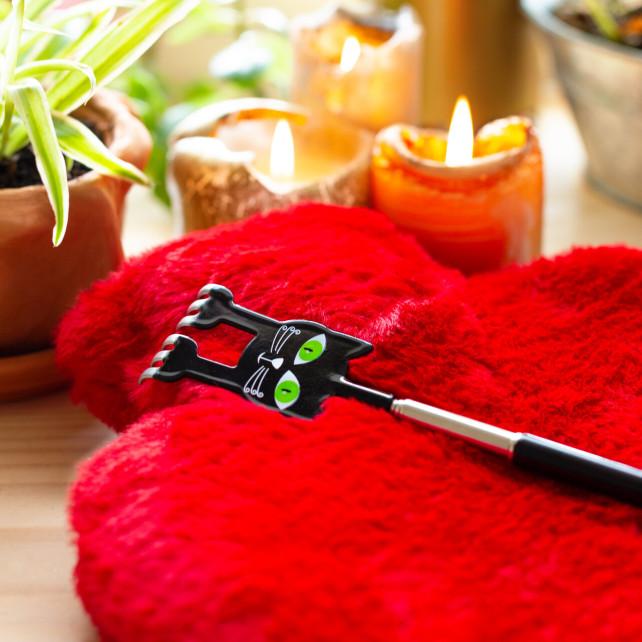 Pylones Gratte Dos Télescopique - Chatouille