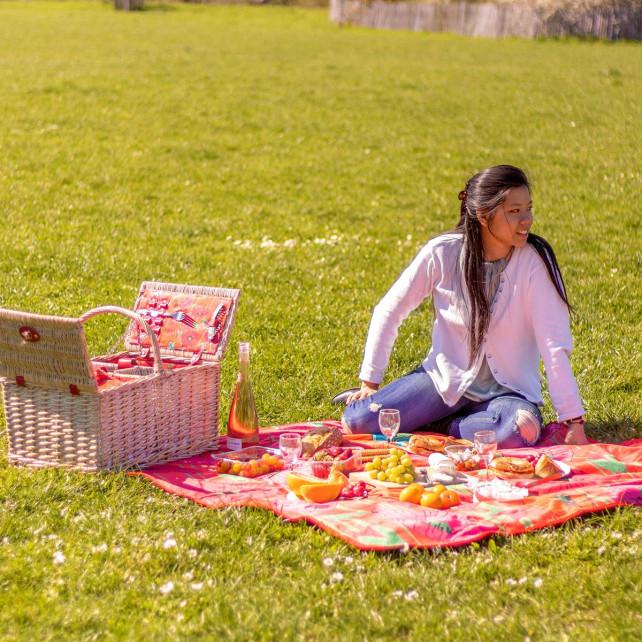 Pylones Panier De Pique Nique - Déjeuner Sur L'herbe