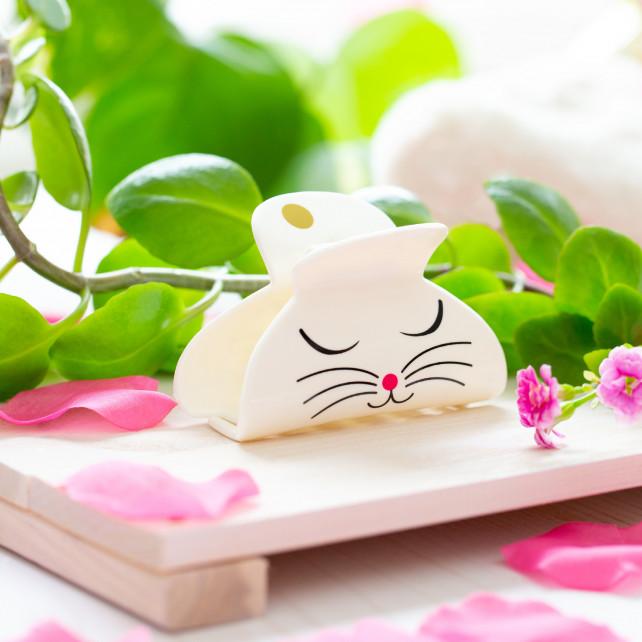 Pylones Pince à Cheveux Crabe - Ladyclip Large