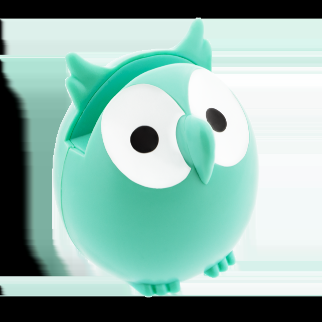 pylones Repose lunettes - Owl