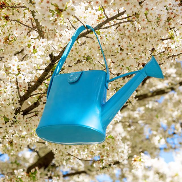 Pylones Sac Arrosoir - Garden Party