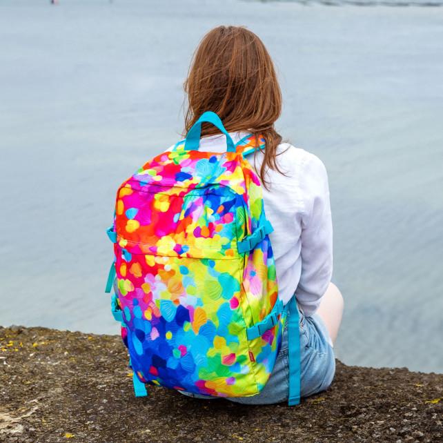 Pylones Sac Cabine - Explorer 27 Litres