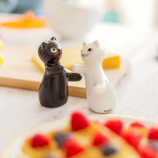 Pylones Salière Et Poivrière - Hugcats