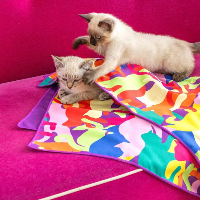 Pylones Serviette Microfibre - Body DS