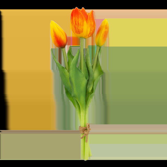 pylones Set de 3 petites tulipes fermées - Tulipes