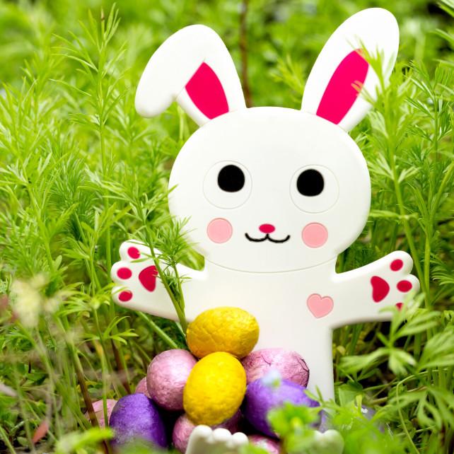 Pylones Support Téléphone Bureau - Ani-stand