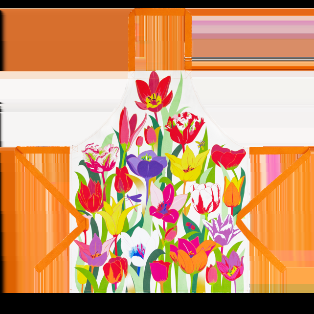 pylones Tablier - Maestro