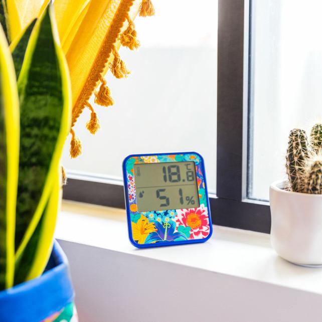 Pylones Thermomètre Digital - Cosy