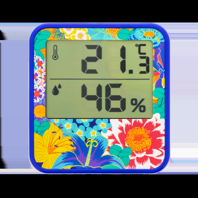 pylones Thermomètre Digital - Cosy