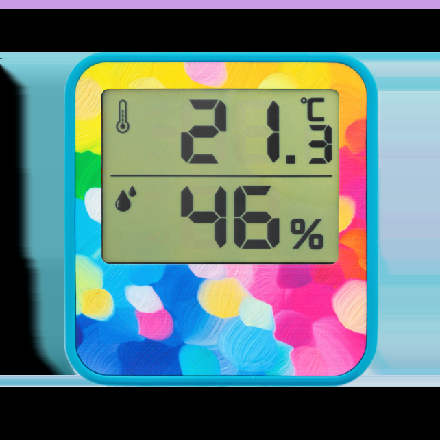 Pylones Thermomètre Digital - Cosy