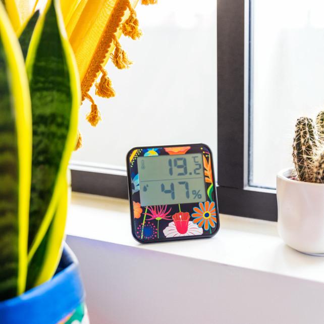 Pylones Thermomètre Digital - Cosy