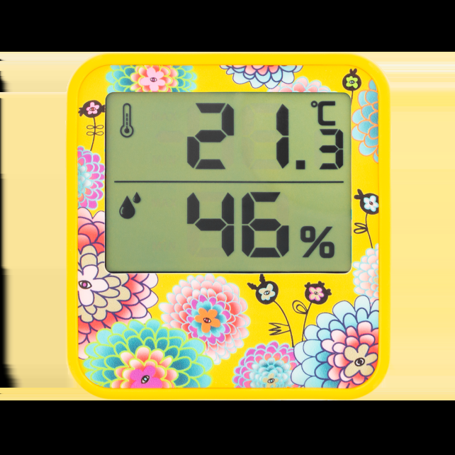 pylones Thermomètre Digital - Cosy