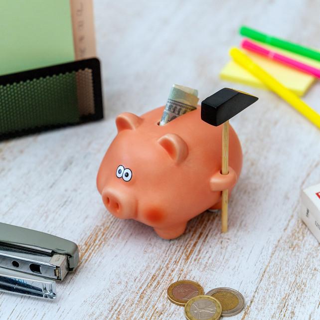 Pylones Tirelire Cochon - Cochonnet