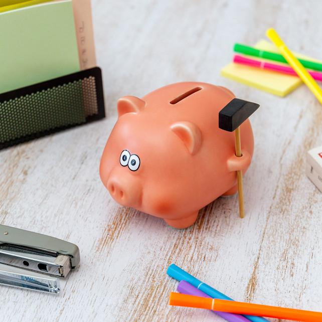 Pylones Tirelire Cochon - Cochonnet