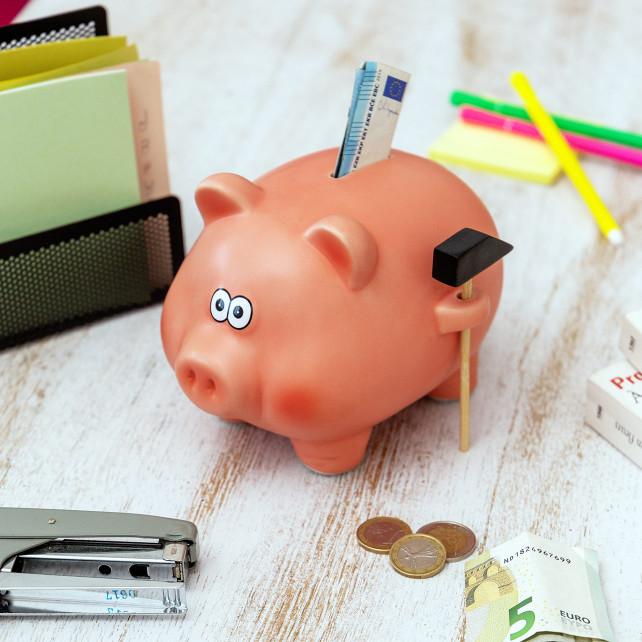 Pylones Tirelire Cochon - Cochonnet