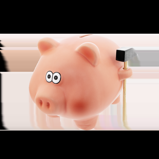 pylones Tirelire Cochon - Cochonnet