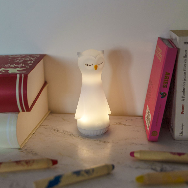 Pylones Veilleuse Et Lampe Torche - Illuminati