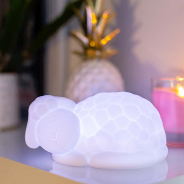 Pylones Veilleuse - Simon Le Mouton