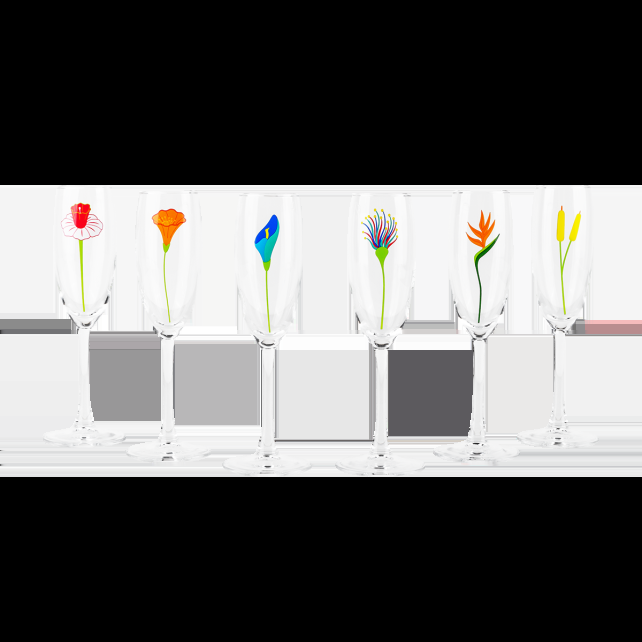 pylones Set de 6 flûtes à Champagne - Champ de fleurs