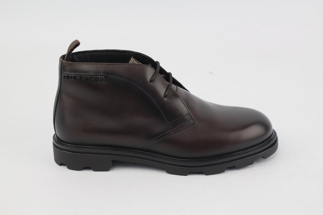 rève d'un jour ARMANDO Marron