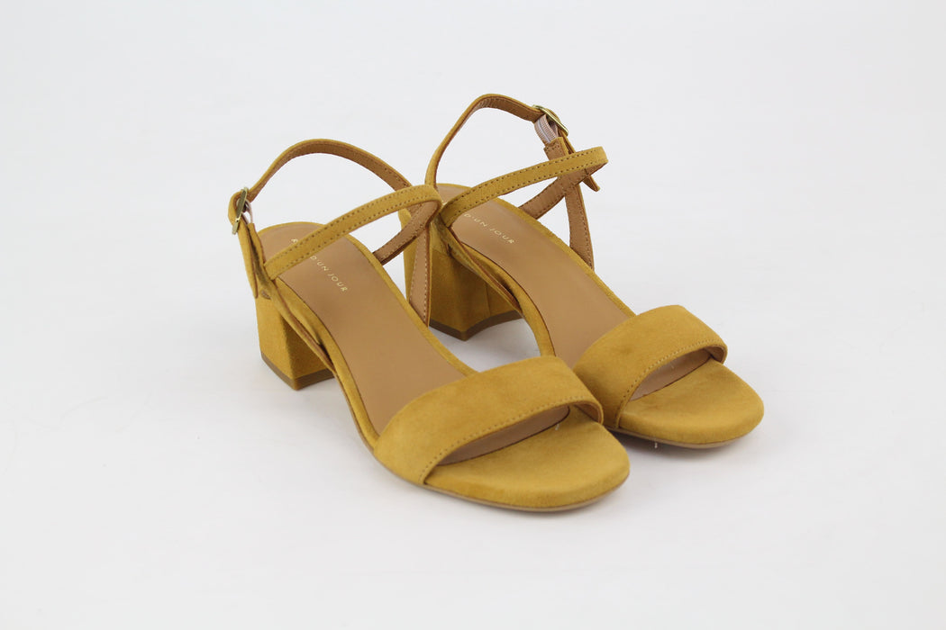 Rève D'un Jour IBTI Camel