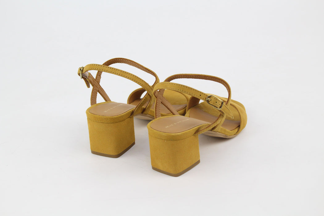 Rève D'un Jour IBTI Camel