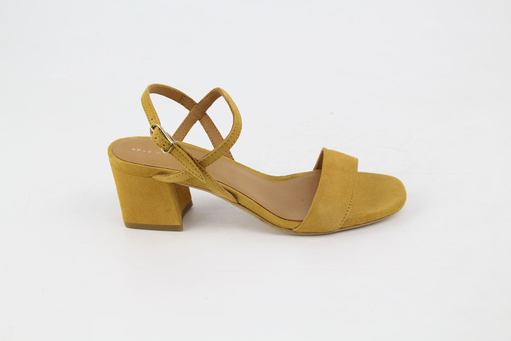 rève d'un jour IBTI Camel