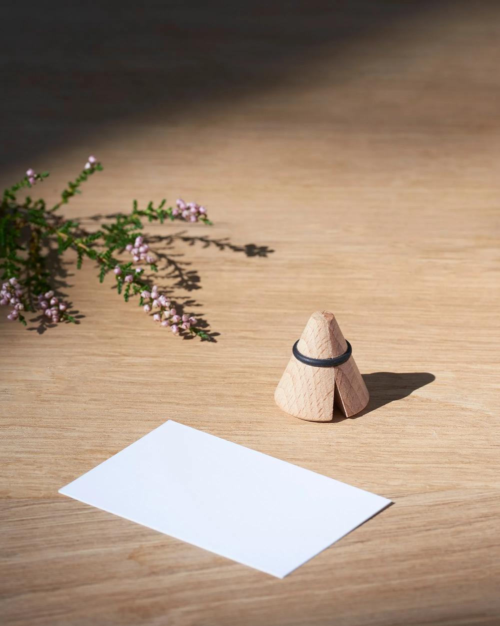 Revol Inspired By REVOL Pince Porte-Etiquette 3 30 CM