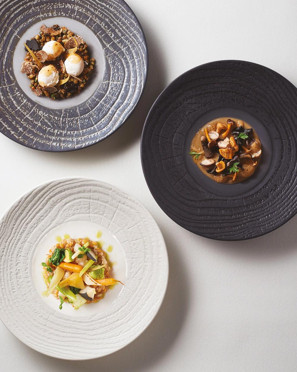 Revol Arborescence Assiette 28 3 CM