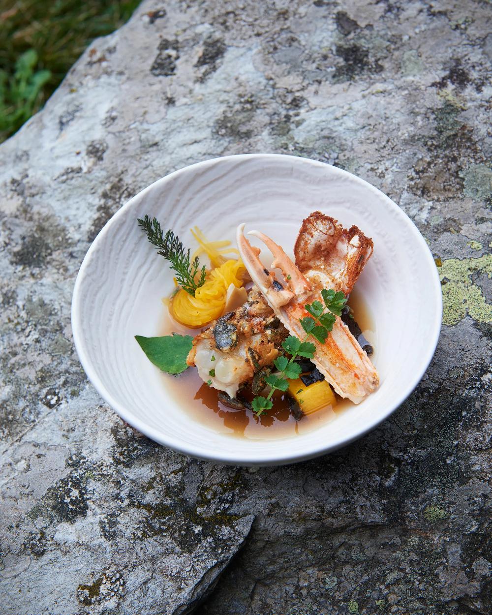 Revol Arborescence Bol 19 CM