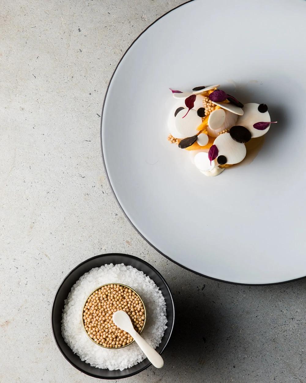 Revol Equinoxe Assiette 26 CM