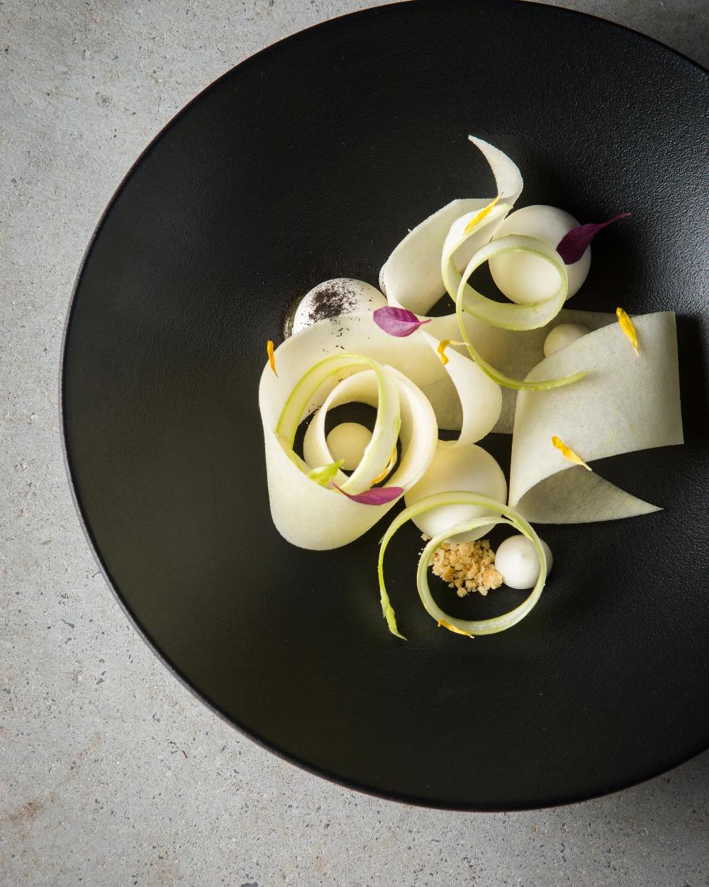 Revol Equinoxe Assiette Gourmande 19 CM