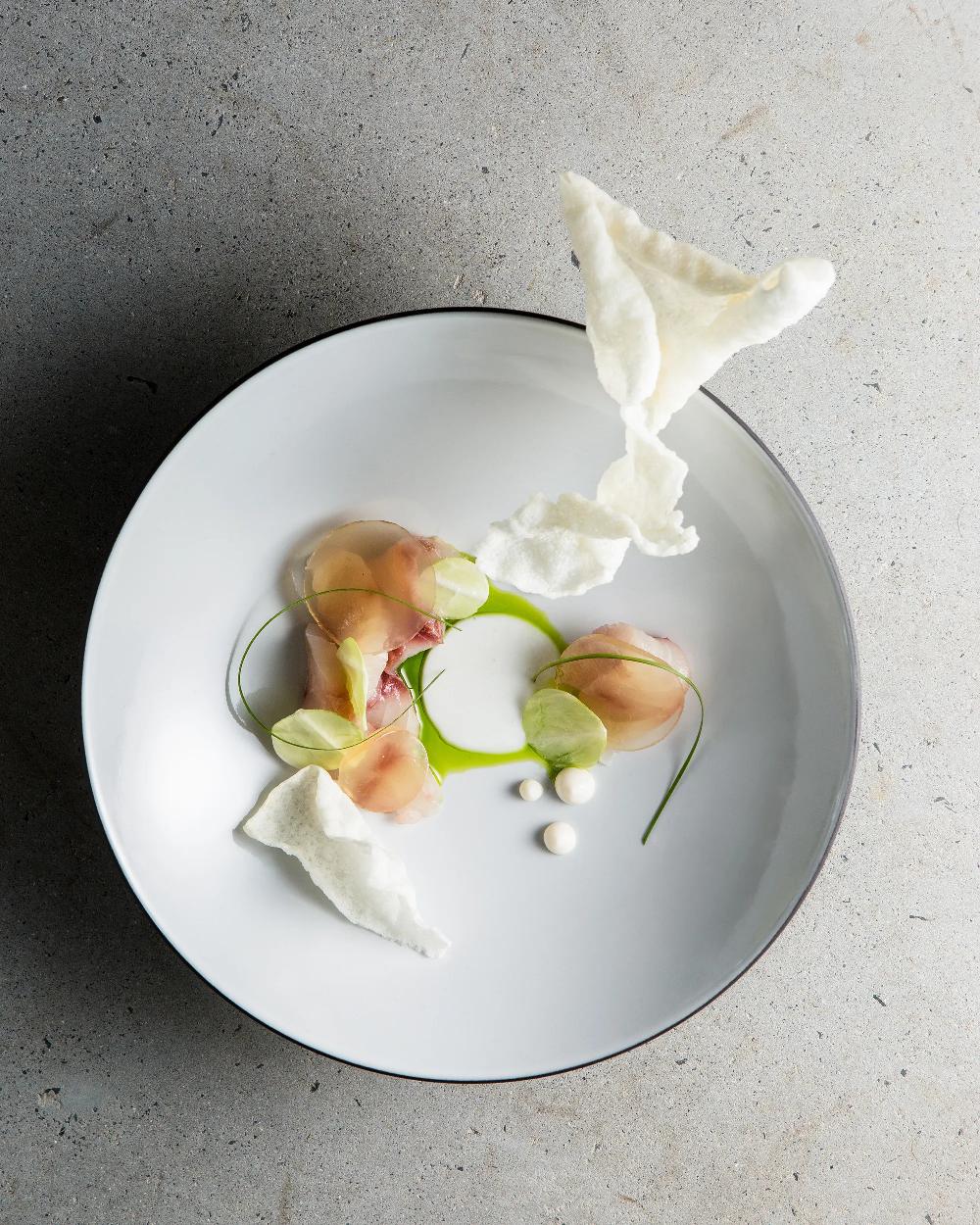 Revol Equinoxe Saladier De Service 350 CL