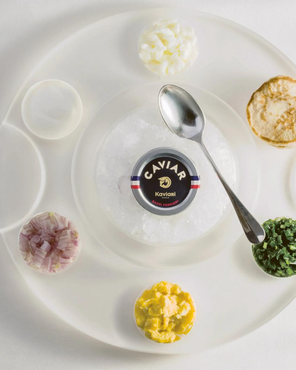 Revol Mealplak Plateau à Caviar 28 CM