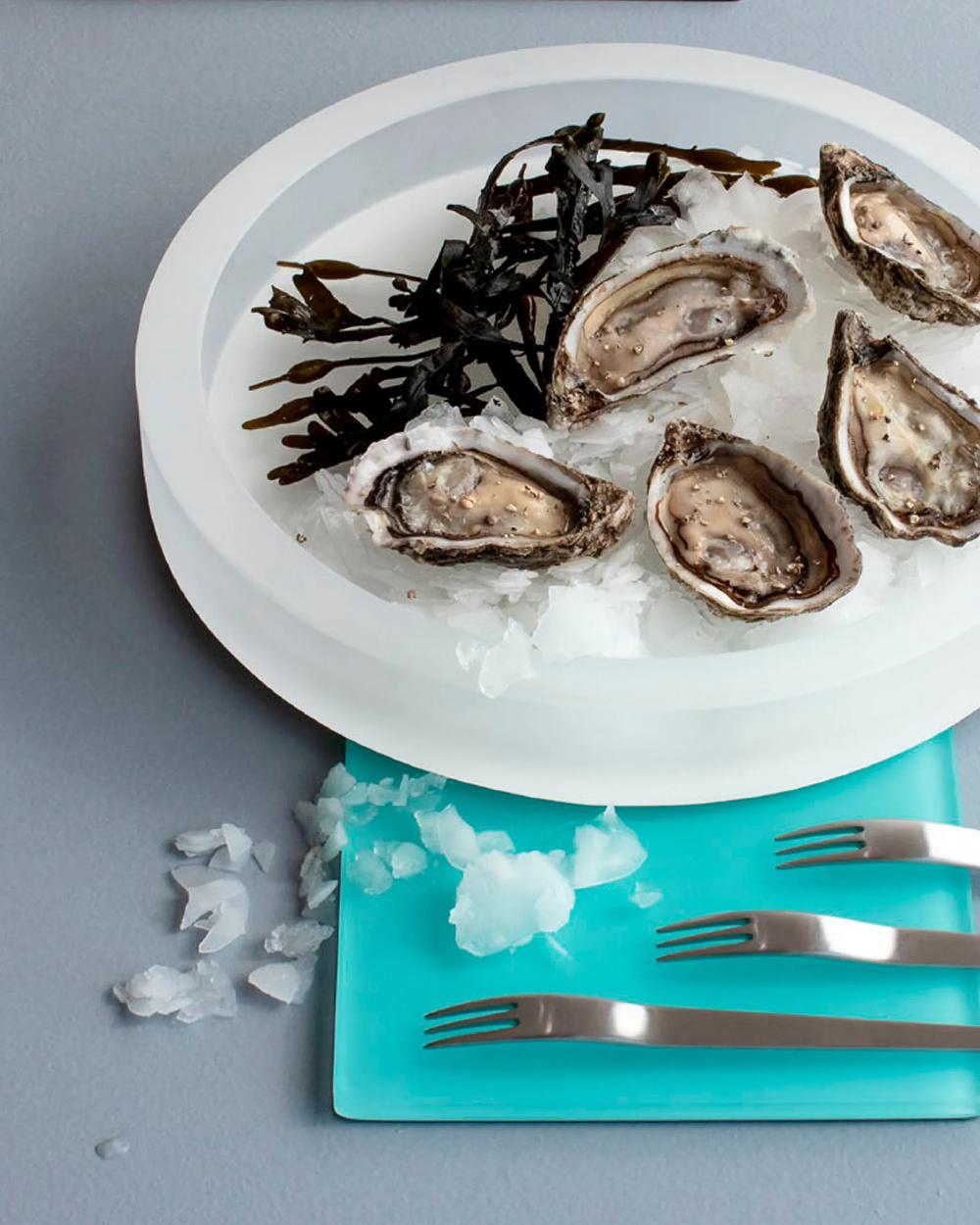 Revol Mealplak Plateau Rectangle 39 5 CM