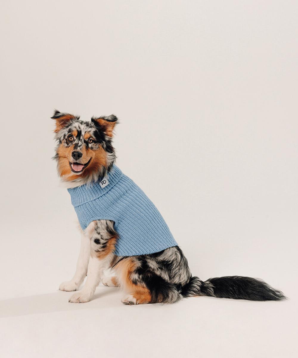 rodier Pull pour chien bleu gris