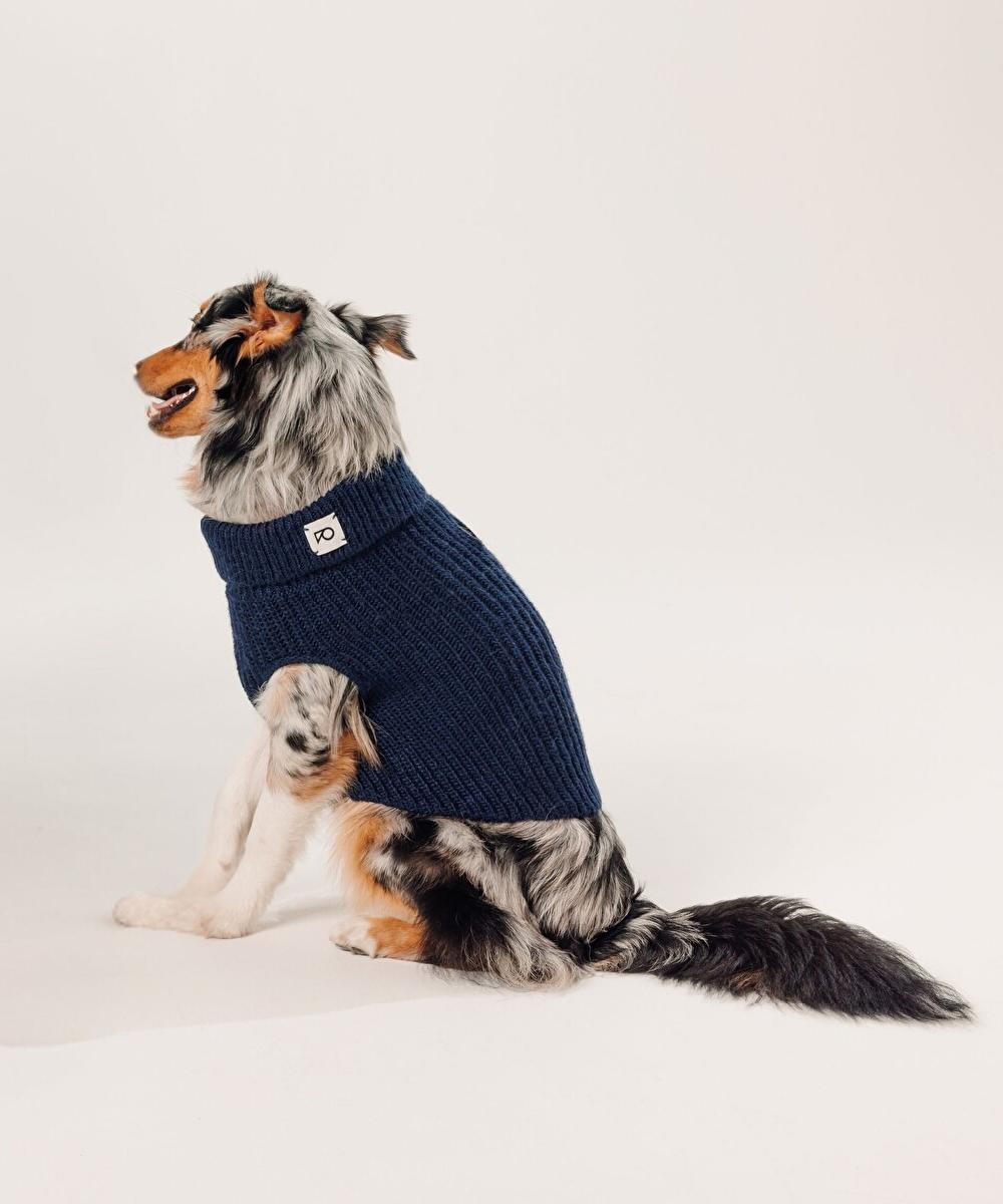 rodier Pull pour chien bleu marine