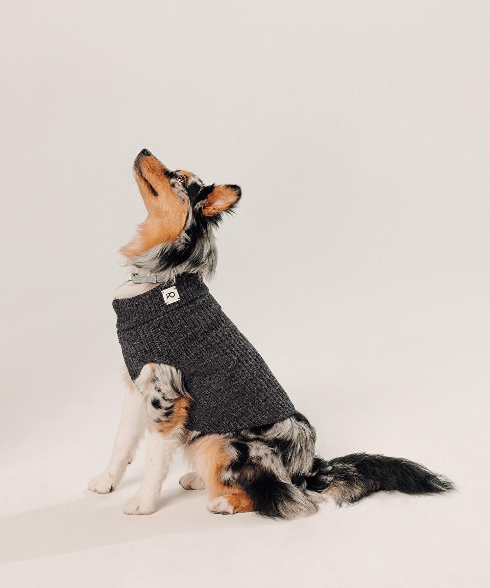 rodier Pull pour chien gris anthracite