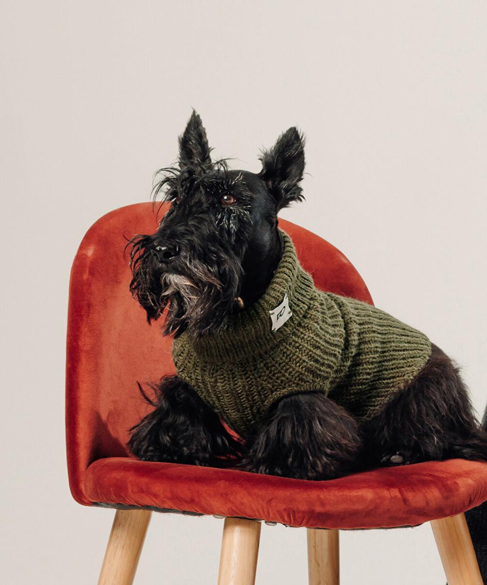 rodier Pull pour chien vert kaki