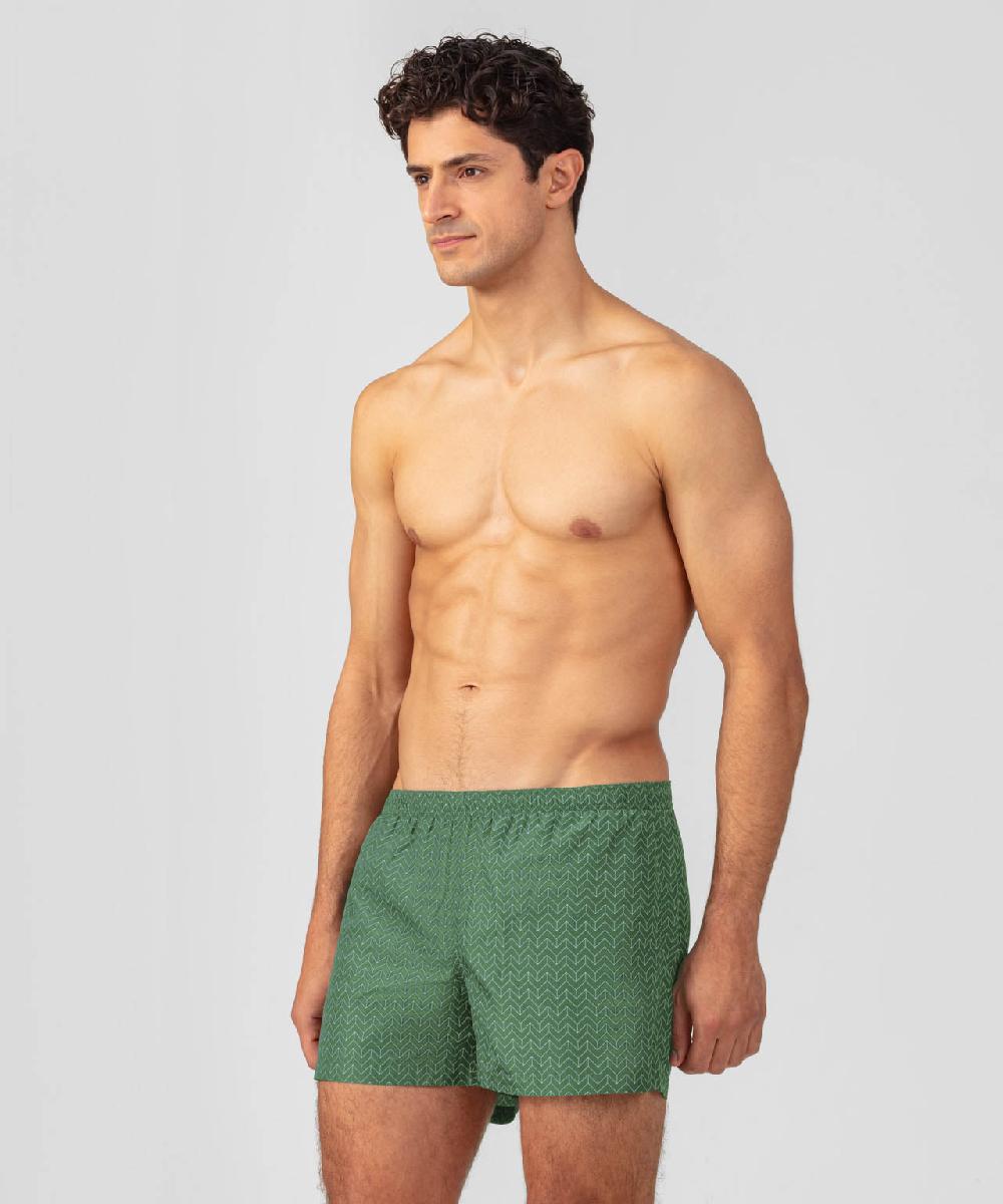 Ron Dorff Short De Bain à Motif Nordique Vert Cactus
