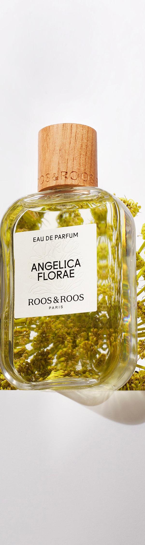 Roos & Roos ANGELICA FLORAE