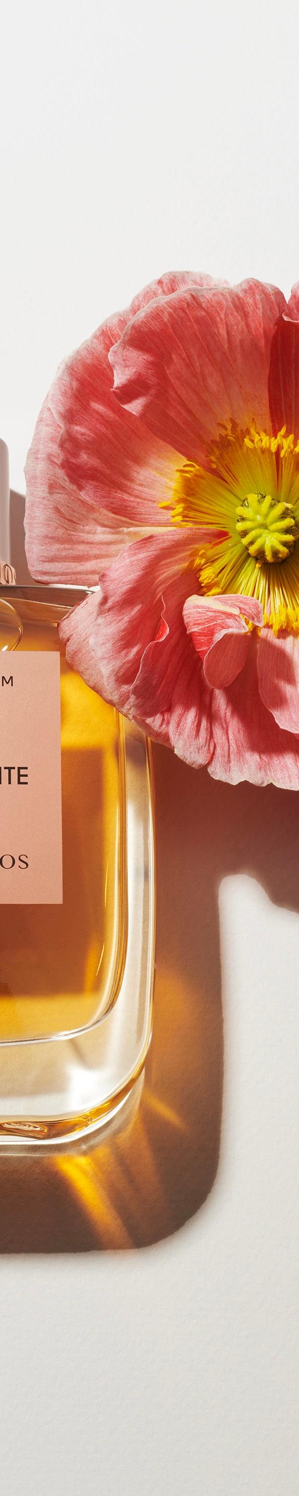 Roos & Roos LA FAVORITE
